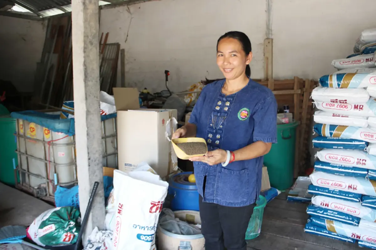 วิกฤตกุ้งกาฬสินธุ์ น้ำมันพุ่งทุบต้นทุนขนส่งอาหารเที่ยวละหมื่น