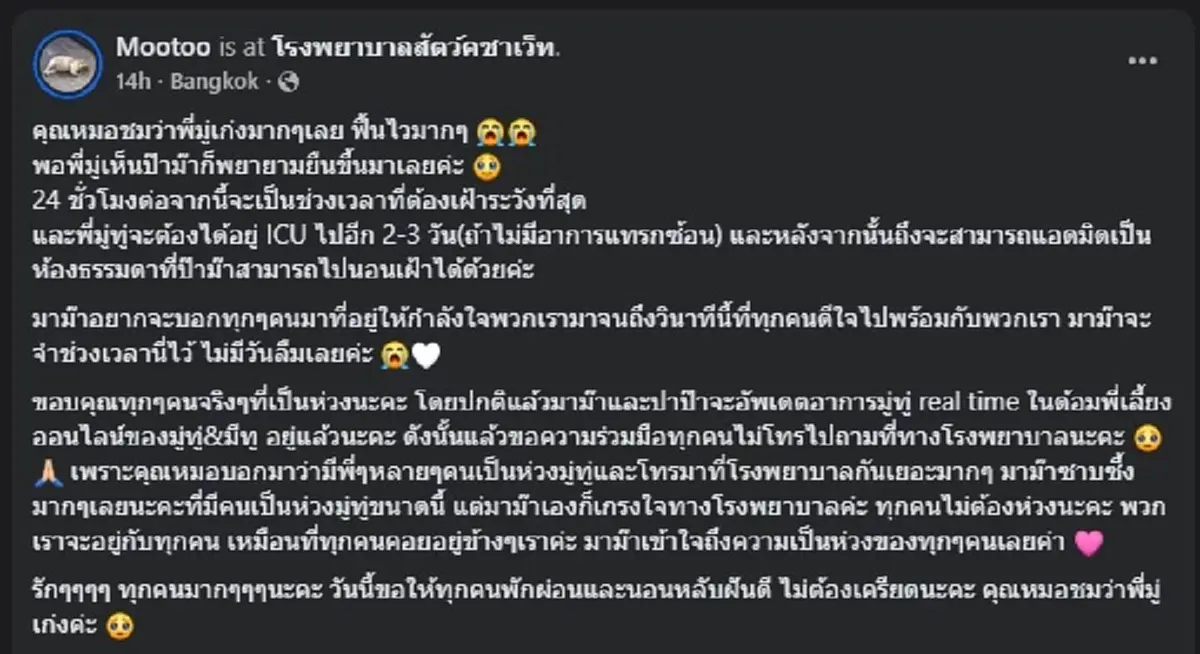 เปิดอาการ "มู่ทู่" หลังผ่าตัดมะเร็งตับ เผย 24ชม. จากนี้ สำคัญสุด 