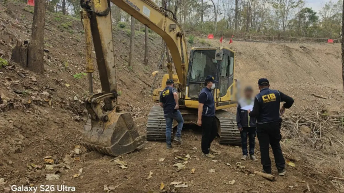 จับมอดไม้เชียงดาว! อ้างชื่อรับเหมาทางหลวงบุกรุกอุทยานฯ