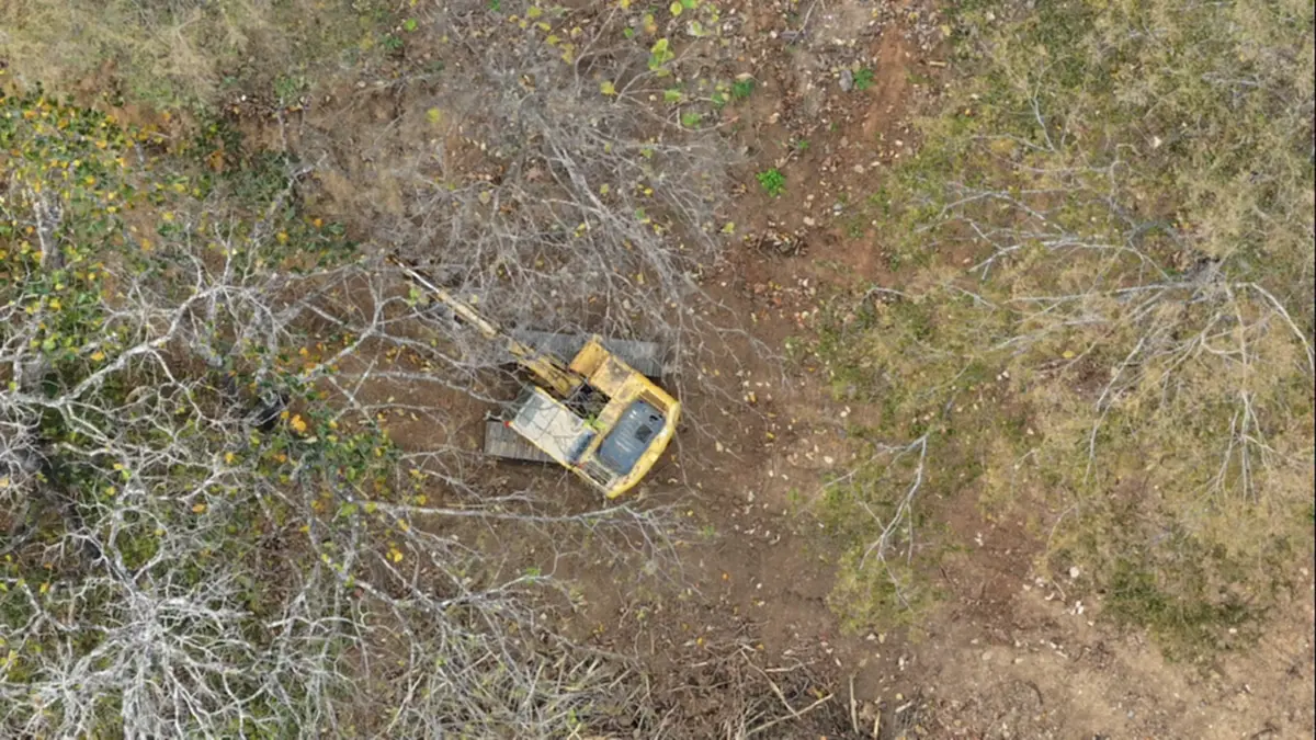 จับมอดไม้เชียงดาว! อ้างชื่อรับเหมาทางหลวงบุกรุกอุทยานฯ