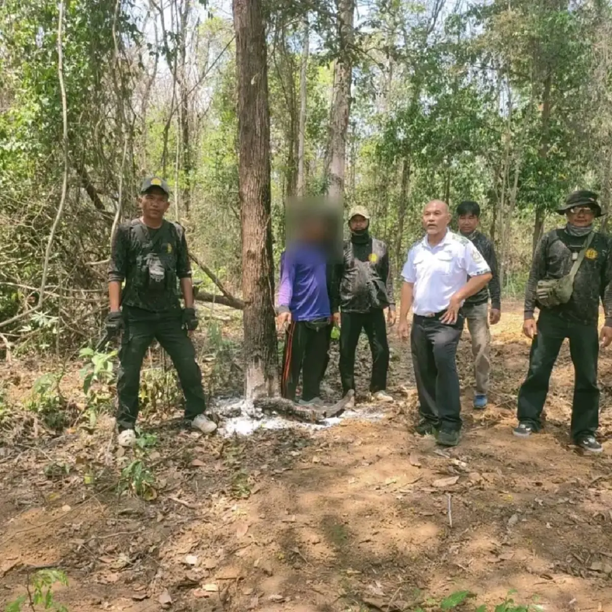 รวบมอดไม้! แอบเผาโคนต้นไม้ให้ยืนต้นตาย หวังฮุบป่าขายนายทุน