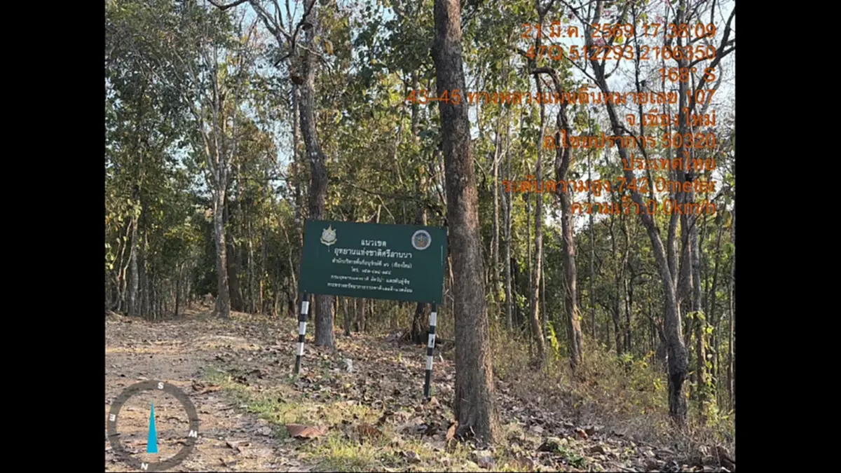 จับมอดไม้เชียงดาว! อ้างชื่อรับเหมาทางหลวงบุกรุกอุทยานฯ