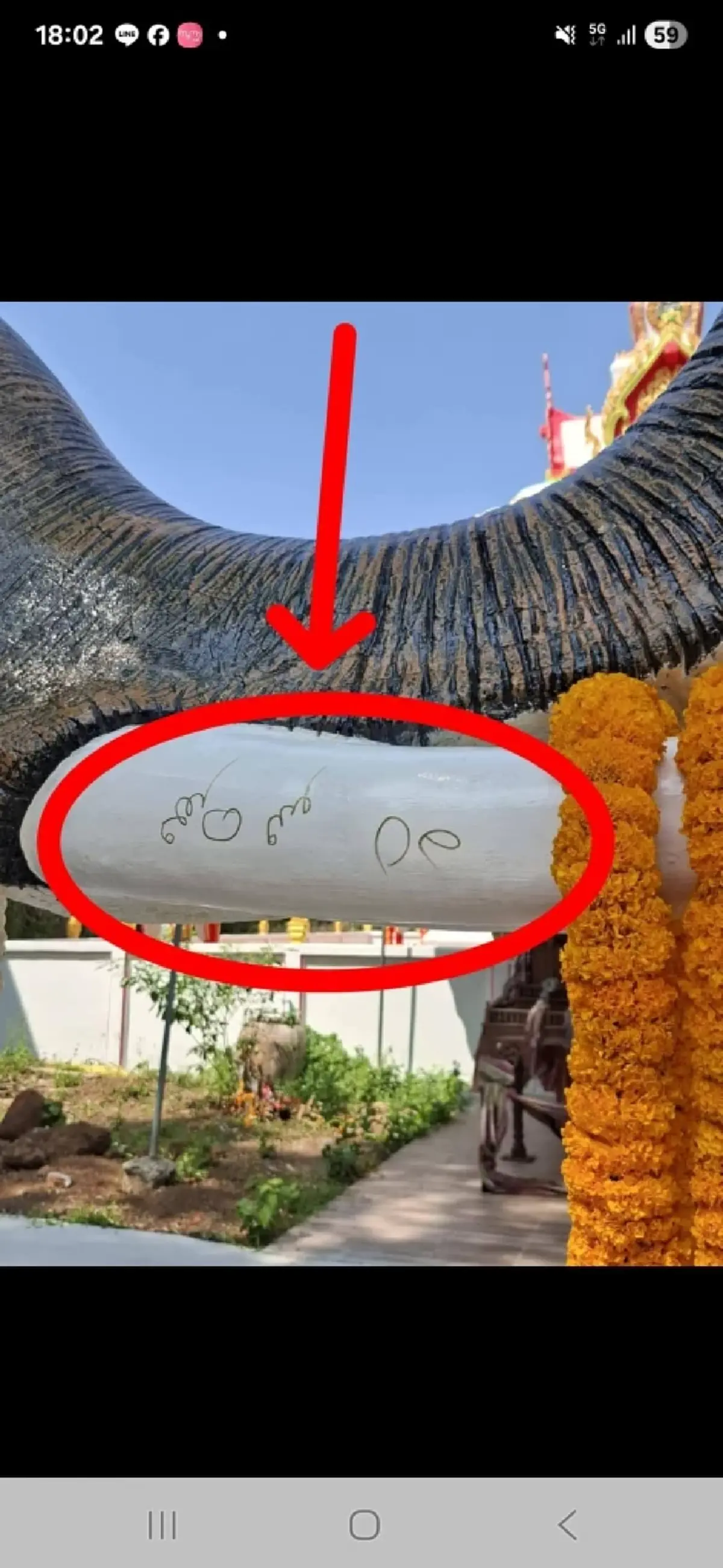 เลขชัด 3 ตัว พิธีวางศิลาฤกษ์สร้างพระใหญ่ แม่ครูหอมหวน โปรยทาน 1 แสน