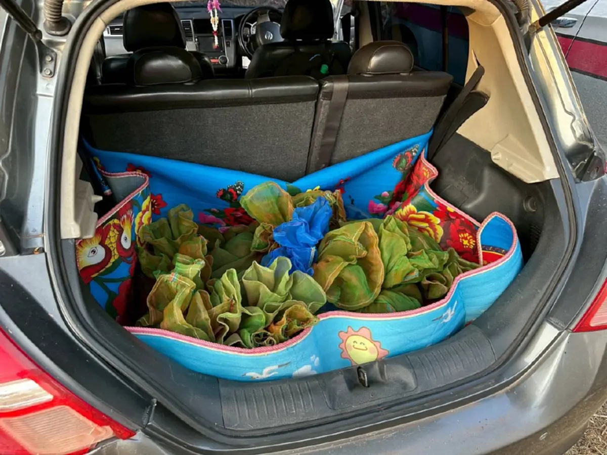 ตำรวจสอบสวนกลาง ลุยสกัดเครือข่ายค้าสัตว์ป่าข้ามชาติ