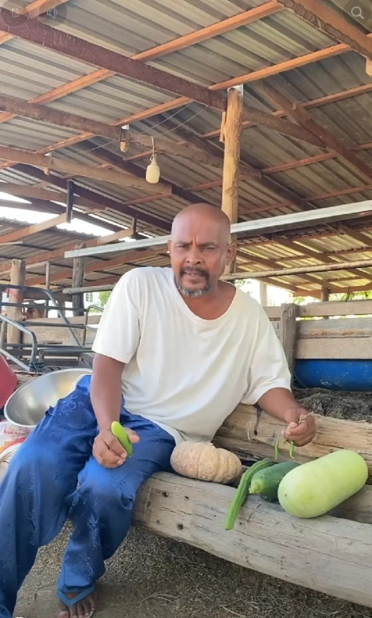 "หมอปลา" ฟาดไม่ไว้หน้า สว.ชวนปลูกผักเลี้ยงไก่ ฟังแล้วมีสะดุ้ง