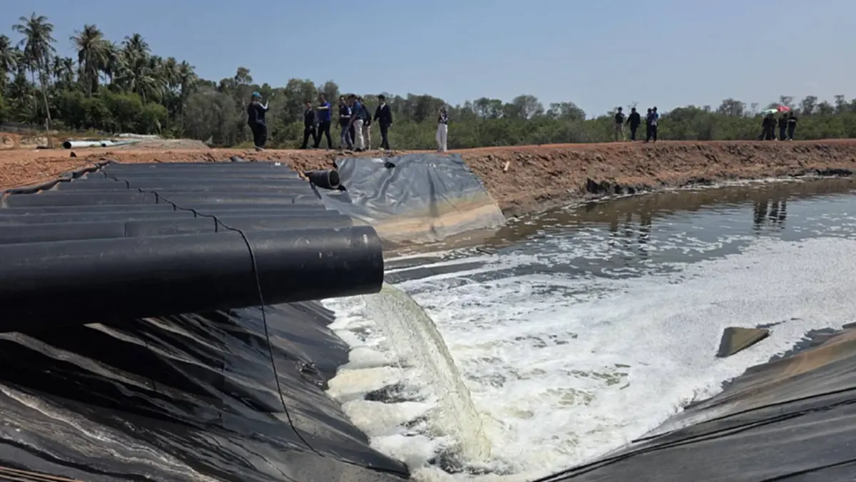 3 สส.ชุมพรบุกแฉฟาร์มกุ้งนายทุน ลอบปล่อยน้ำเสียทำป่าพรุพังพินาศ
