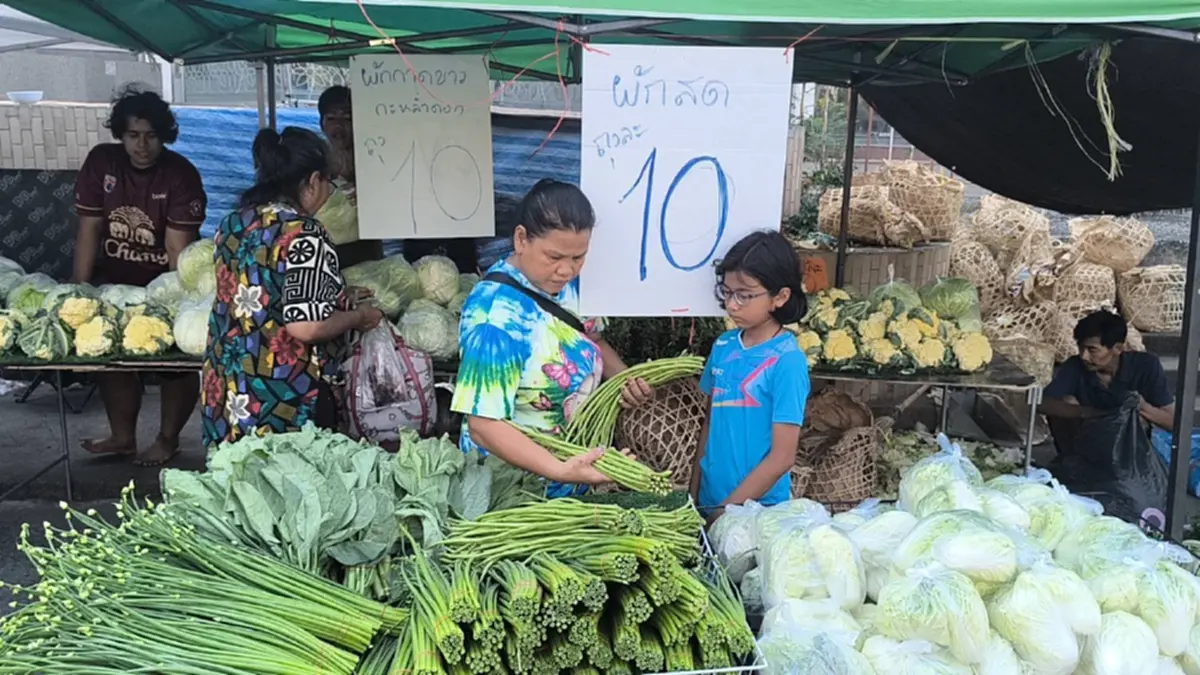 ถูกจริง! ผักถุงละ 10 บาท ชาวพิษณุโลกแห่ซื้อสวนกระแสน้ำมันแพง