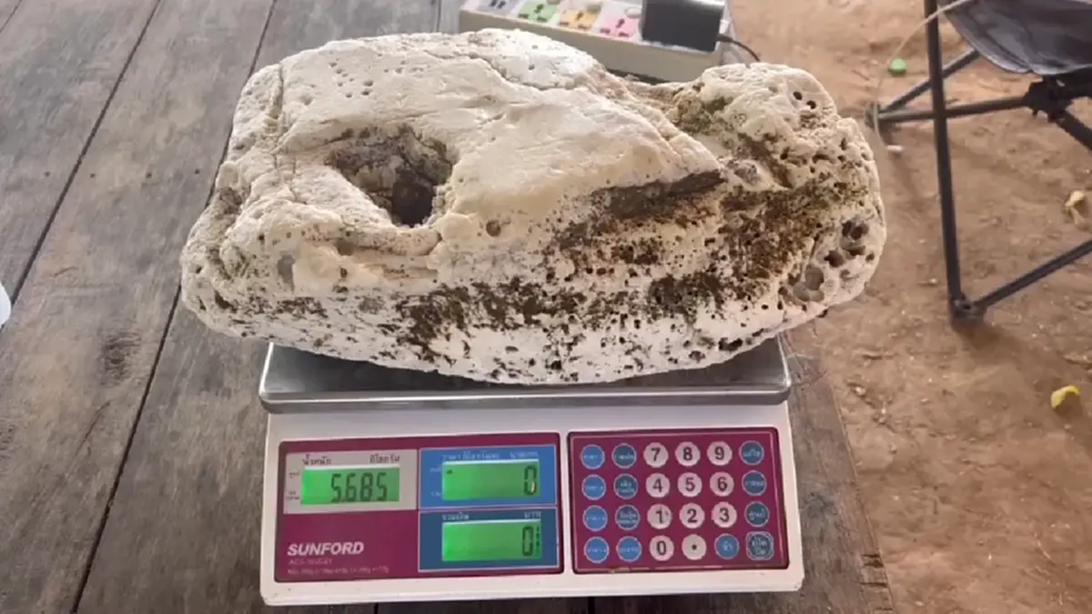 หนุ่มระยอง! พบอ้วกวาฬยักษ์หนัก 5.6 กก. ลอยเกยหาดทะเลงาม