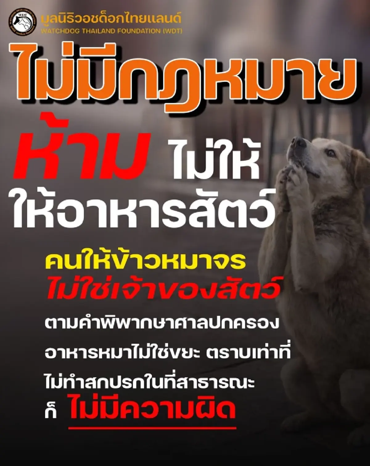 เข้าใจผิดกันหมด เปิดกฎหมายชัด "อาหารหมาจร" ผิดกฎหมาย จริงหรือไม่ 