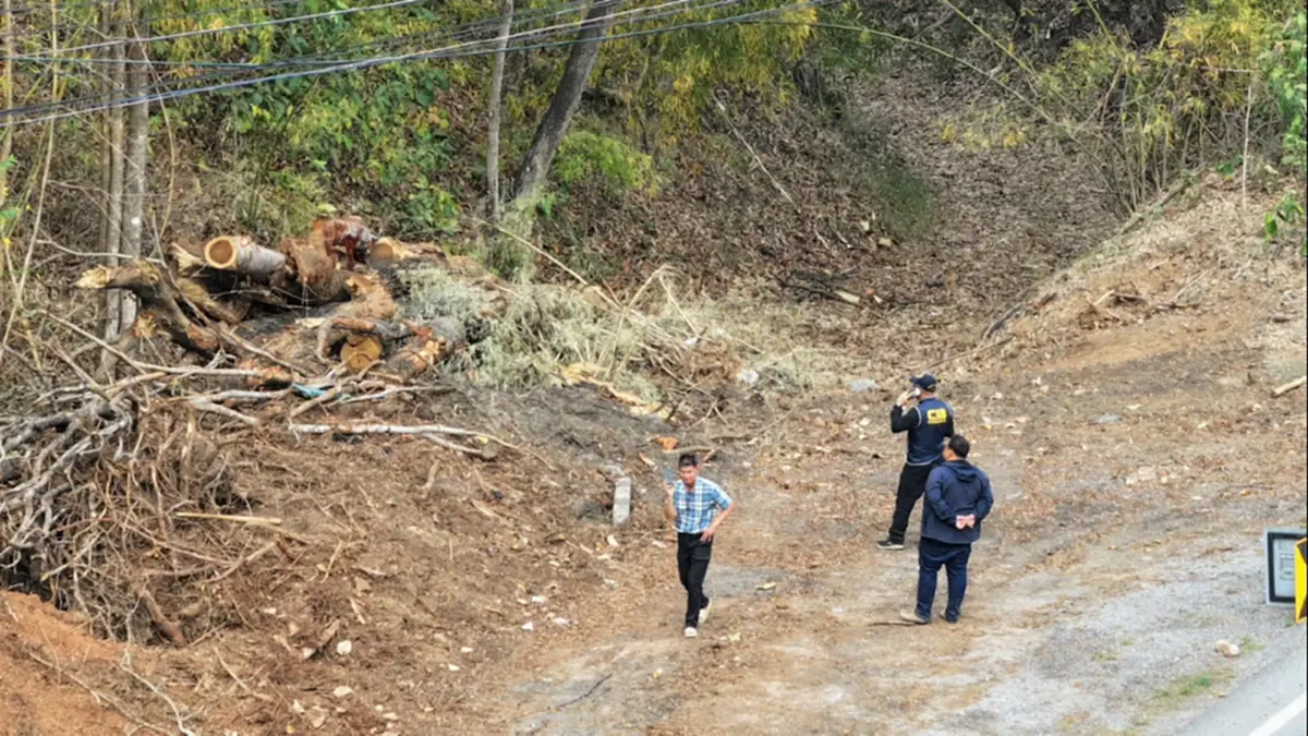 จับมอดไม้เชียงดาว! อ้างชื่อรับเหมาทางหลวงบุกรุกอุทยานฯ