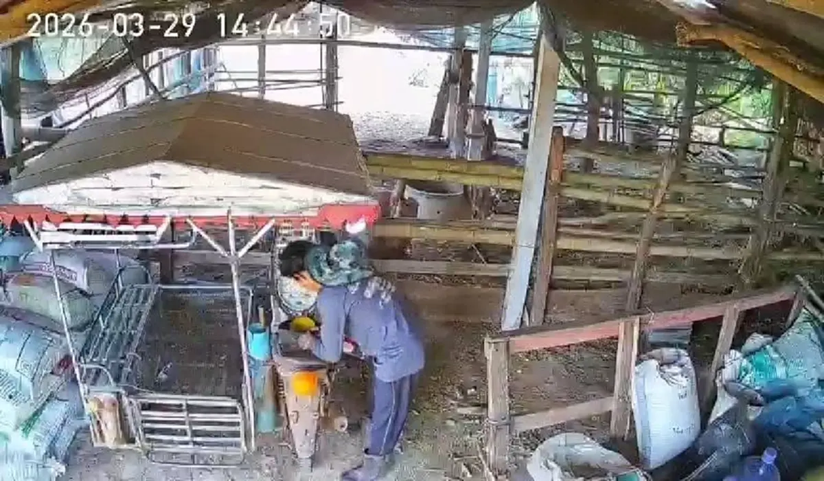 เจ็บกระดองใจ! โจรบุกเถียงนาลักดูดน้ำมันซาเล้งเกลี้ยงถัง