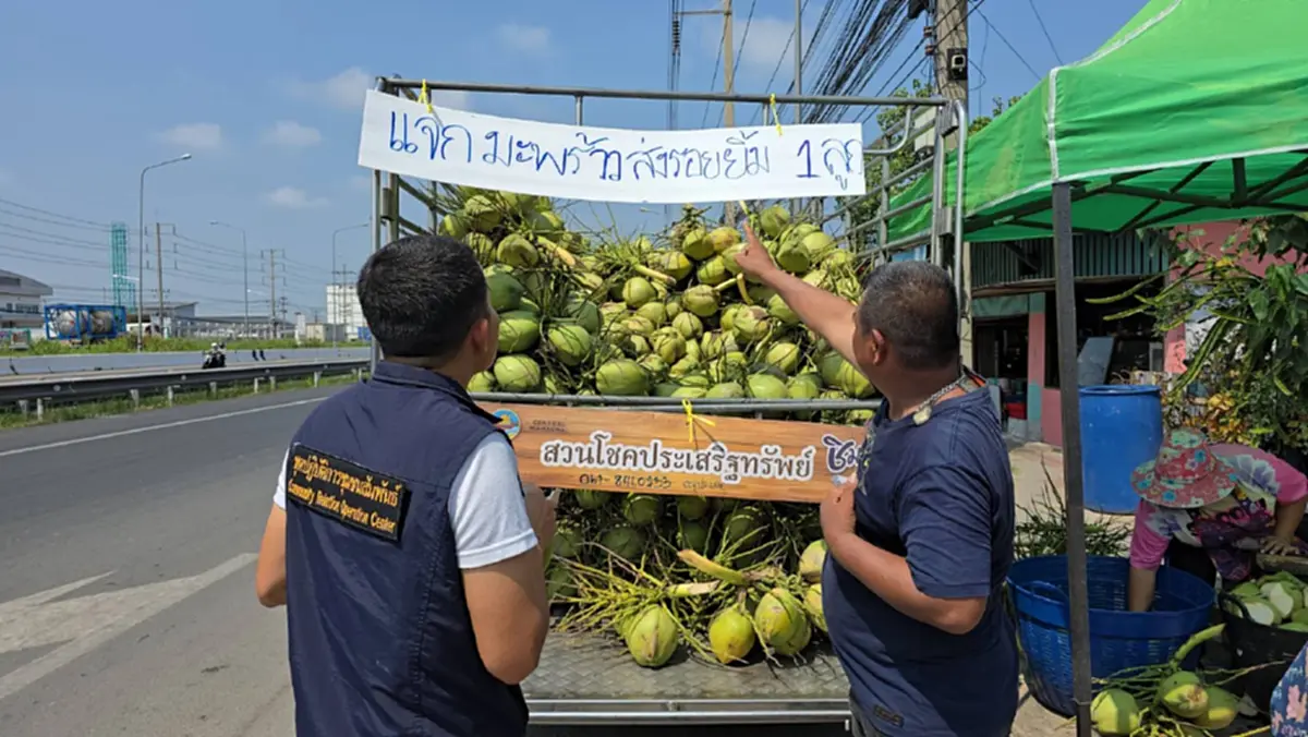 น้ำใจงาม! เจ้าของสวนมะพร้าวบ้านแพ้ว แจก 1,500 ลูก แลก "1 รอยยิ้ม"