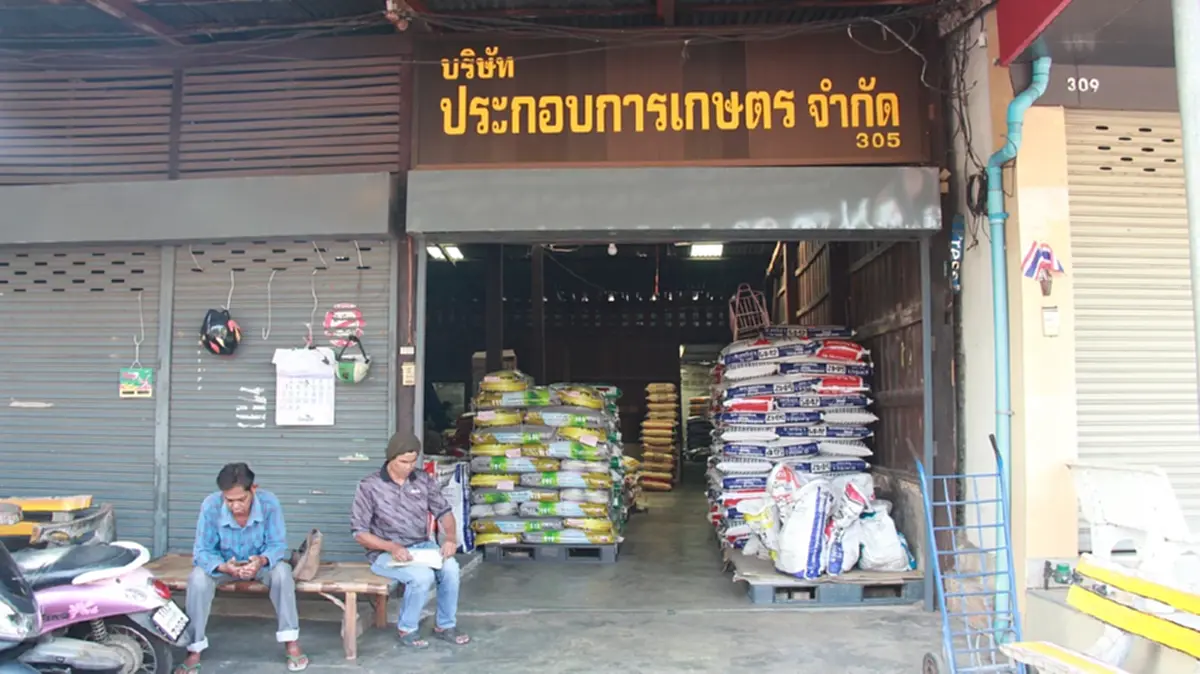 พิษสงครามตะวันออกกลาง! ปุ๋ยยูเรียนางรองจ่อขาดตลาด-ราคาพุ่ง