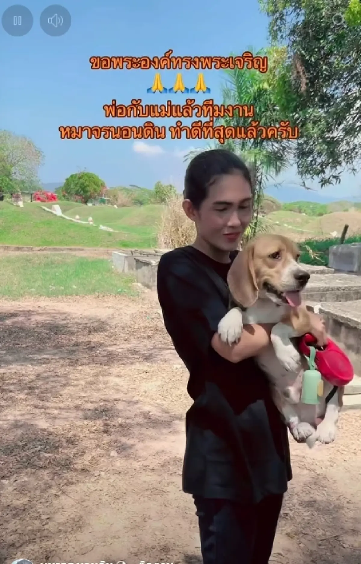 "ในหลวง" ทรงพระเมตตา รับ 2 บีเกิ้ล ถูกทิ้งสุสานร้าง ชุบเลี้ยงในวัง
