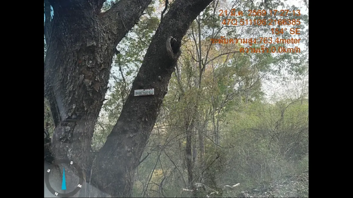 จับมอดไม้เชียงดาว! อ้างชื่อรับเหมาทางหลวงบุกรุกอุทยานฯ