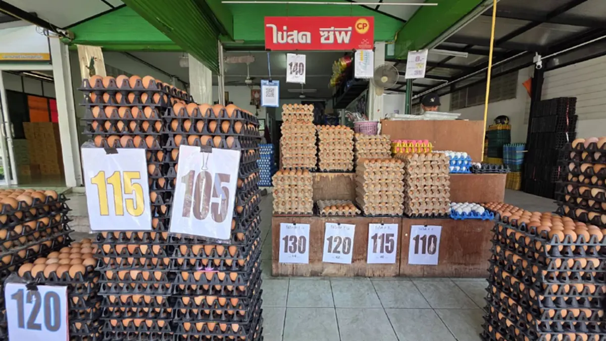 ไข่ไก่ปรับขึ้นแผงละ 6 บาททั่วไทย ชี้อากาศร้อนทำผลผลิตวูบ