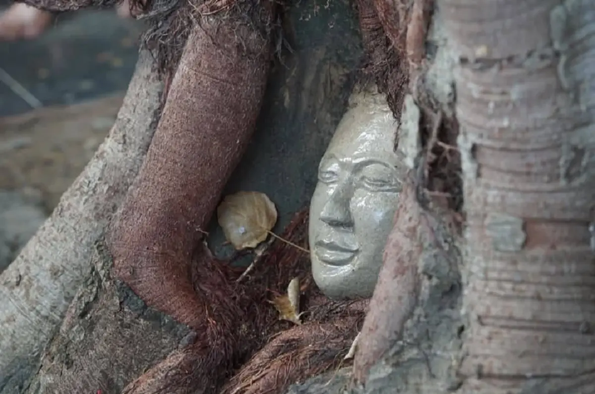 วัดกัมพูชา สร้าง เศียรพระในรากไม้ เลียนแบบ วัดมหาธาตุ อยุธยา