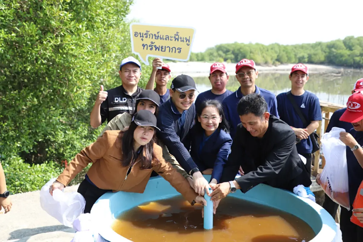 สมุทรสาครผนึกเอกชนปล่อยพันธุ์สัตว์น้ำ 2.1 แสนตัวฟื้นฟูมหาชัย