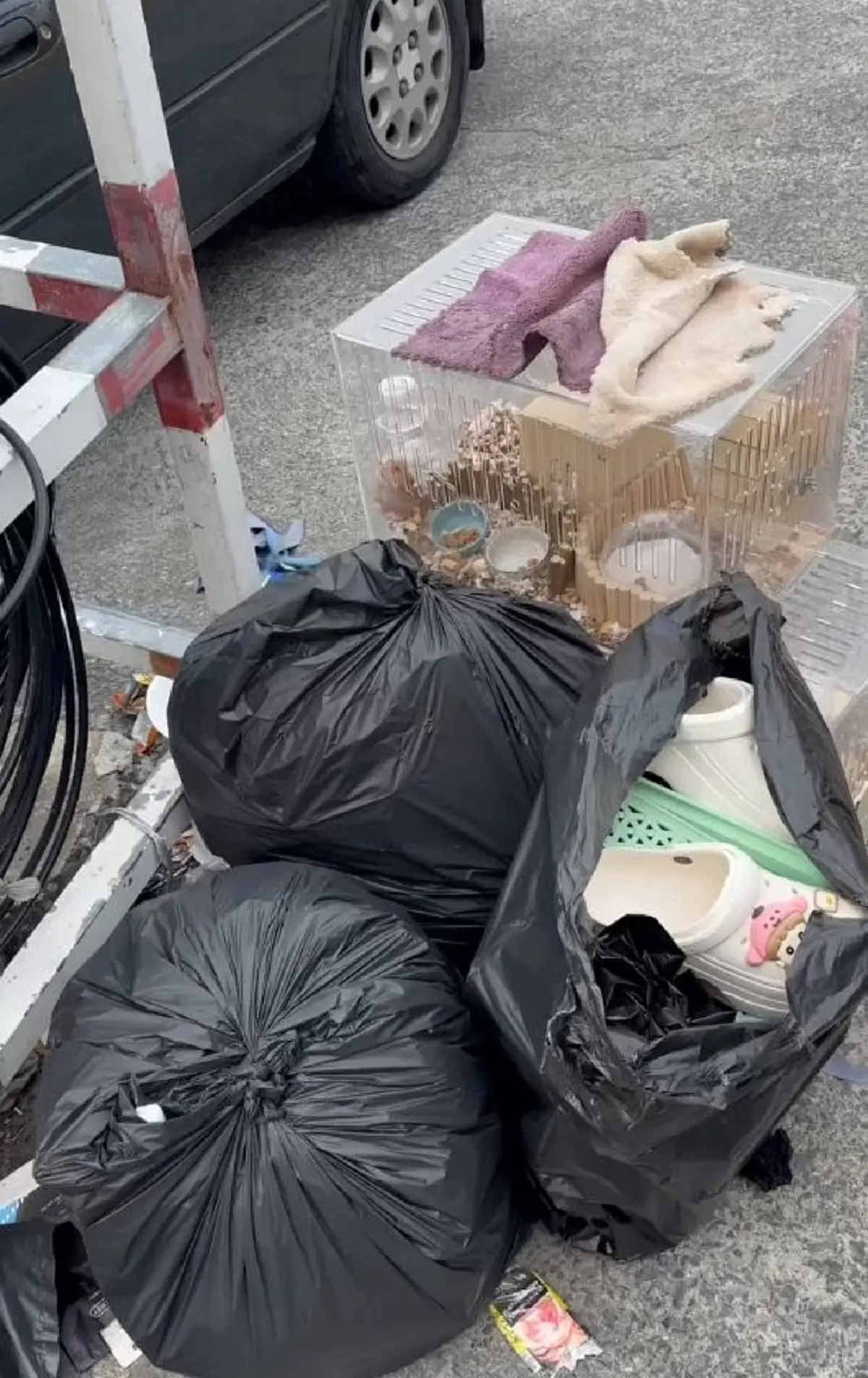 เวทนา 2 ชีวิตน้อยๆถูกโยนทิ้งกองขยะ เห็นแววตายิ่งบีบหัวใจ