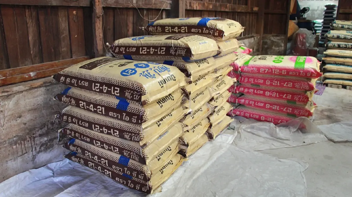 พิษสงครามตะวันออกกลาง! ปุ๋ยยูเรียนางรองจ่อขาดตลาด-ราคาพุ่ง