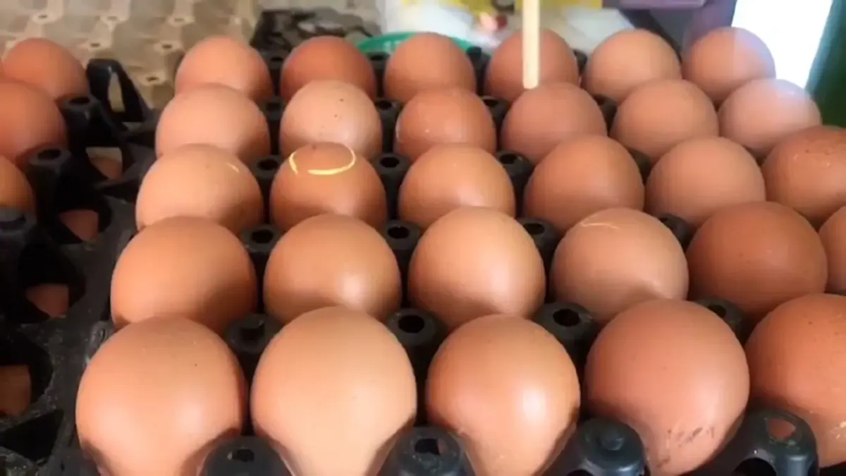 รายได้วูบครึ่งต่อครึ่ง! แม่ค้าสุรินทร์อั้นไม่ไหว วอนรัฐช่วยด่วน