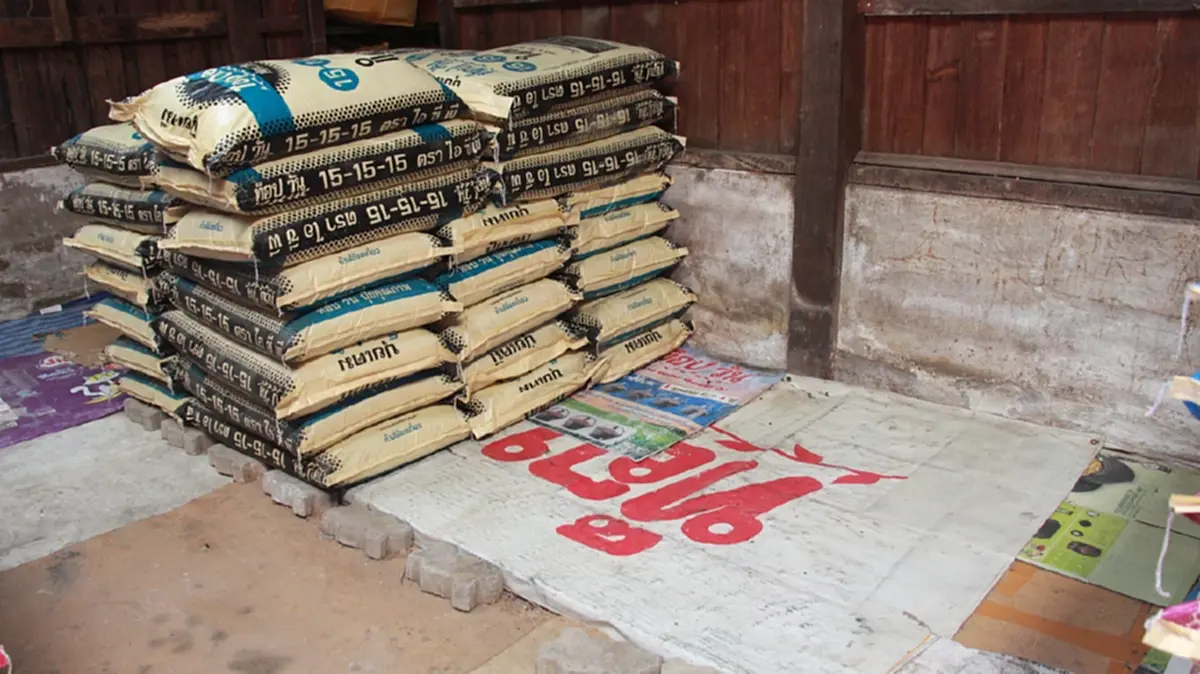 พิษสงครามตะวันออกกลาง! ปุ๋ยยูเรียนางรองจ่อขาดตลาด-ราคาพุ่ง