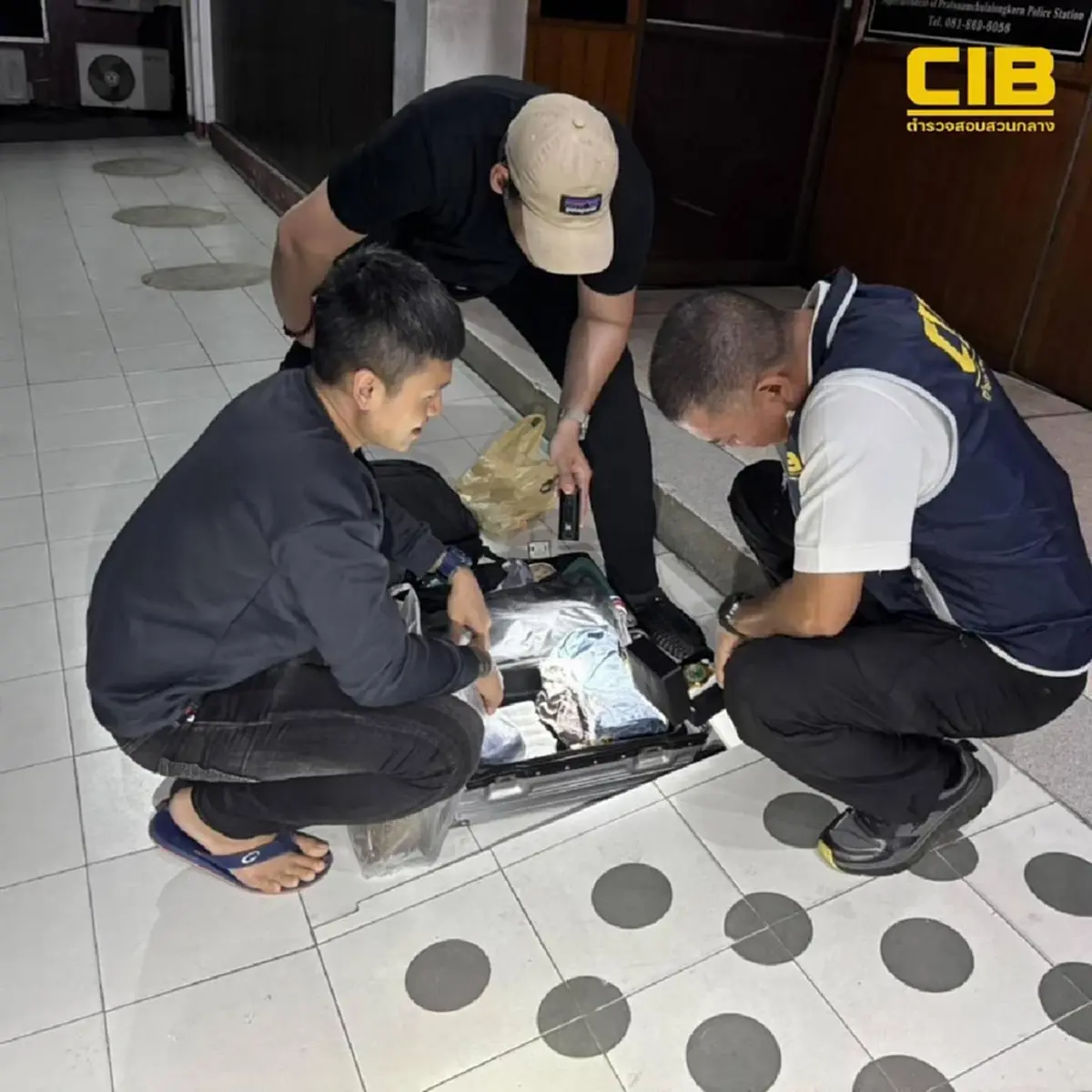 จับตัวล่ามแปลภาษาให้แก๊งจีนเทา เบื้องหลังหลอกคนไทยไปปอยเปต