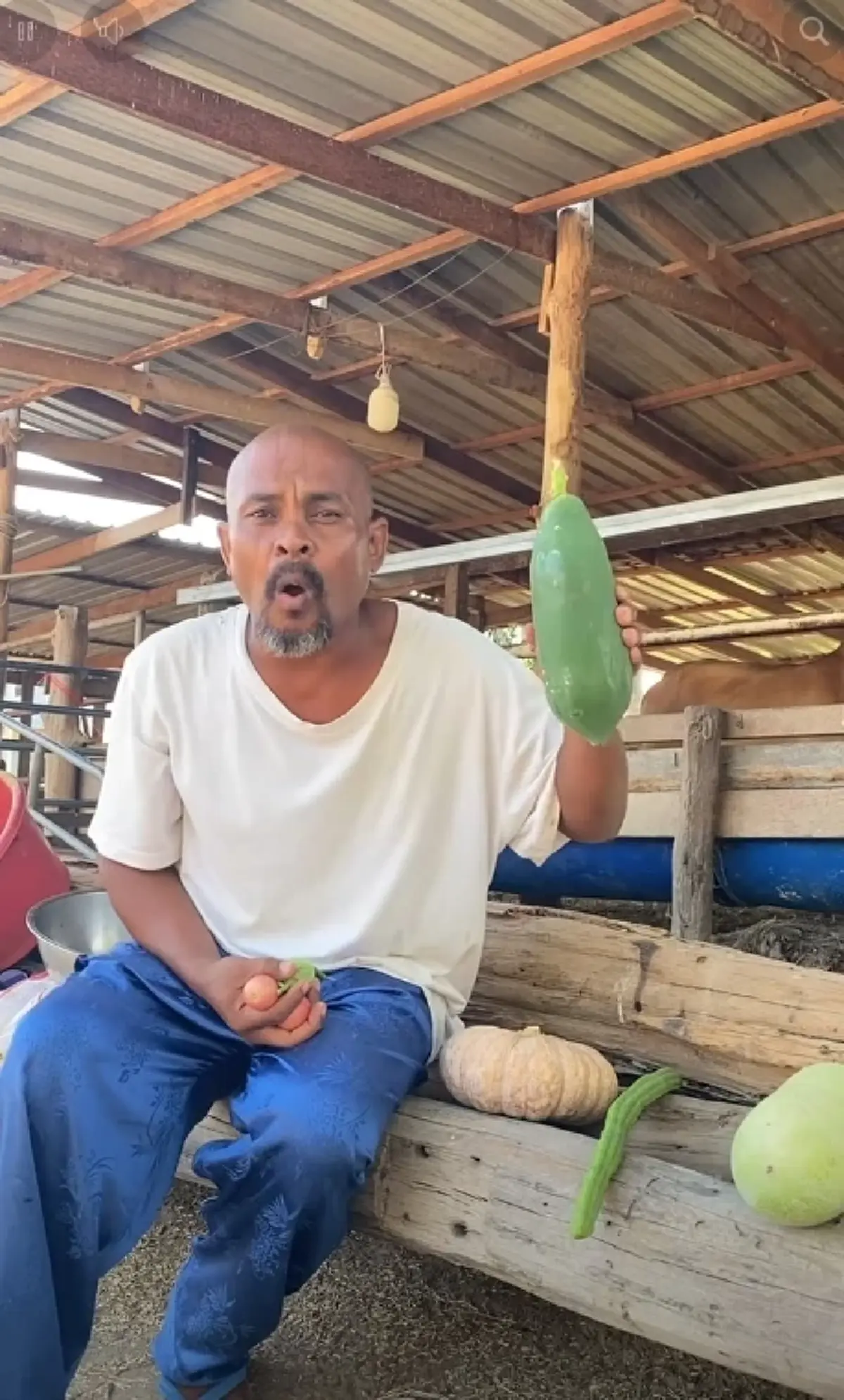 "หมอปลา" ฟาดไม่ไว้หน้า สว.ชวนปลูกผักเลี้ยงไก่ ฟังแล้วมีสะดุ้ง