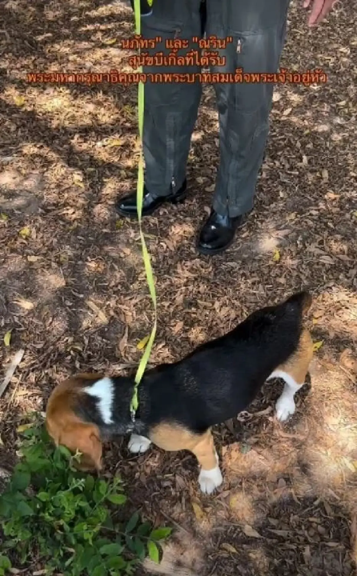 ปลื้มปีติ ในหลวง ทรงพระราชทานเงิน-กระเช้า แก่ผู้ช่วย 2 บีเกิ้ล