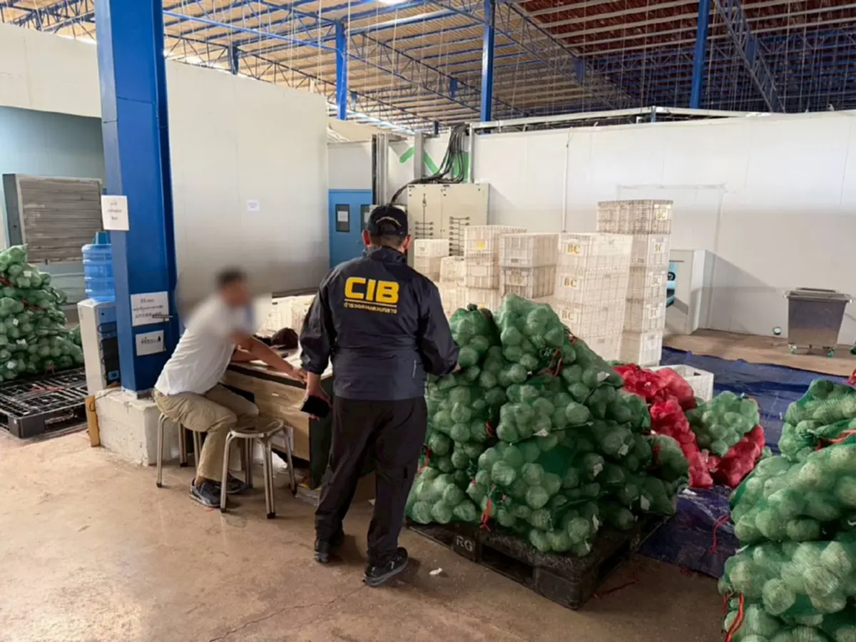 ไม่แปลกใจ มะพร้าวไทยพัง เปิดโปงแผนกินรวบ ล้งนอมินีจีน กดราคา 2 บาท