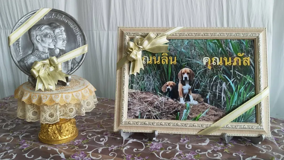 ปลื้มปีติ ในหลวง ทรงพระราชทานเงิน-กระเช้า แก่ผู้ช่วย 2 บีเกิ้ล