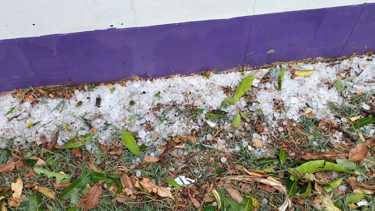 ปภ.บึงกาฬสั่งเข้ม! รับมือพายุ หลังลูกเห็บถล่มบุ่งคล้า