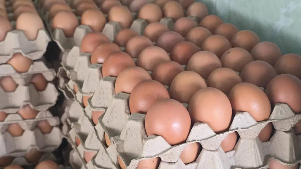 ไข่ไก่ปรับขึ้นแผงละ 6 บาททั่วไทย ชี้อากาศร้อนทำผลผลิตวูบ
