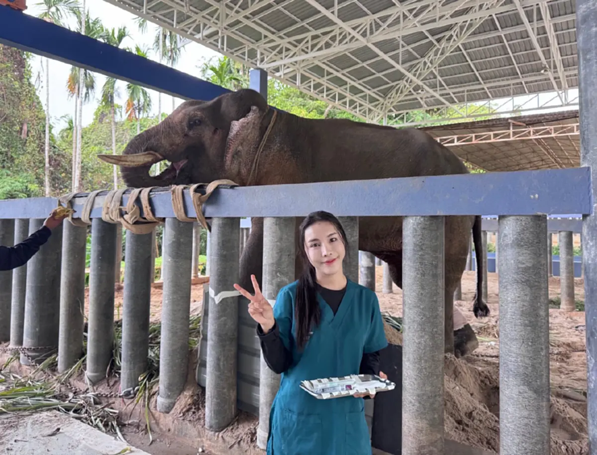 บีบหัวใจ หมอโบว์ ยอมรับตรงๆ อาการ "พลายเดียว" ครบ 1 เดือน น่าห่วงมาก