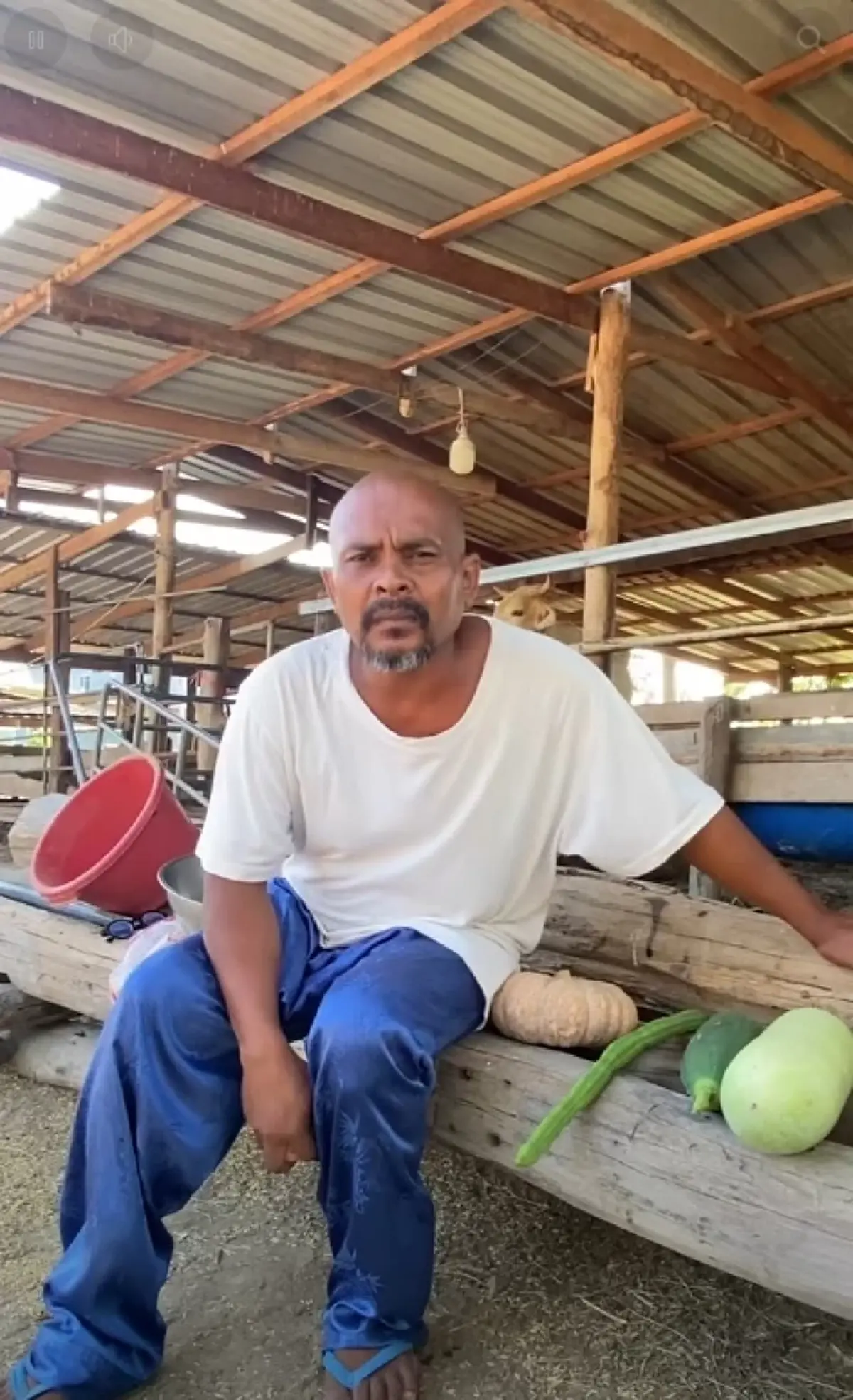 "หมอปลา" ฟาดไม่ไว้หน้า สว.ชวนปลูกผักเลี้ยงไก่ ฟังแล้วมีสะดุ้ง