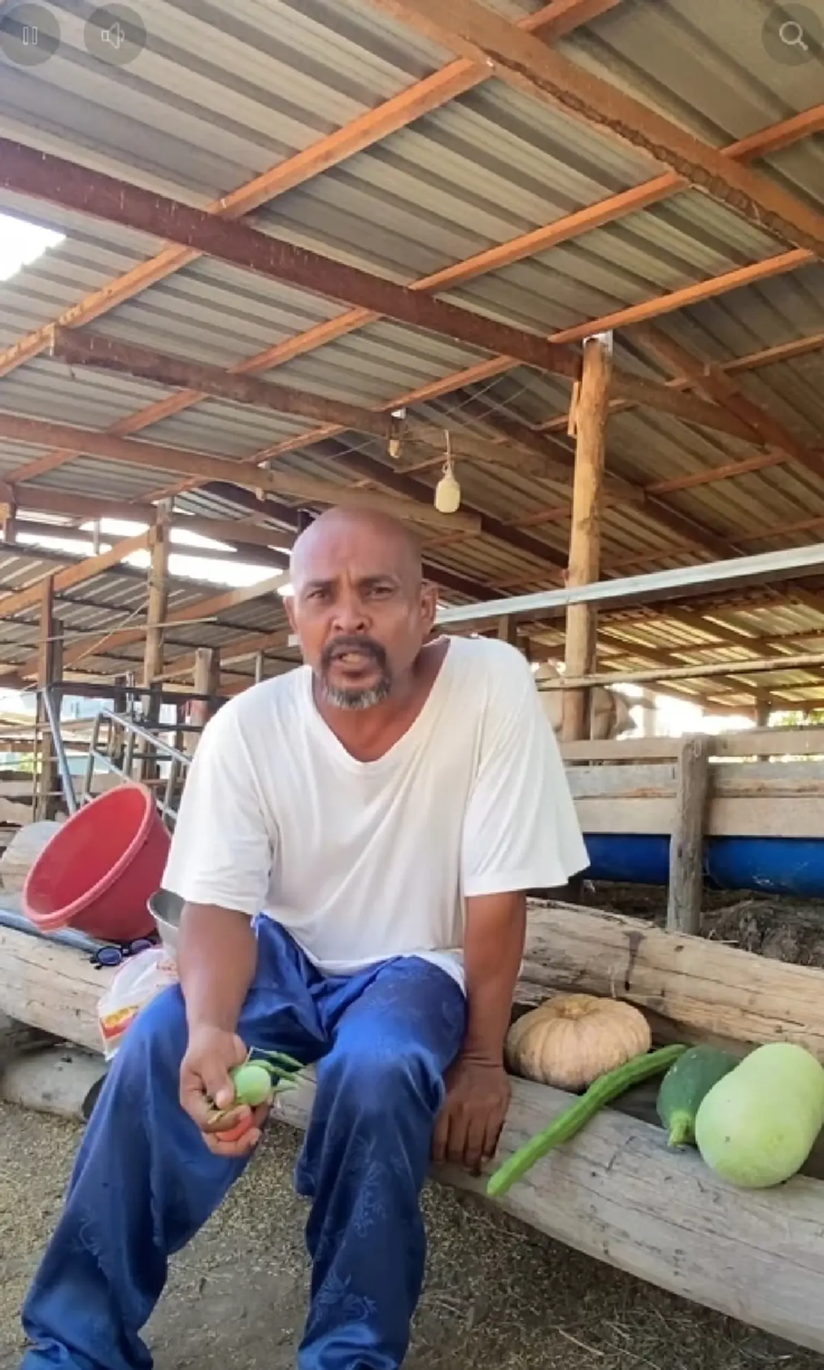 "หมอปลา" ฟาดไม่ไว้หน้า สว.ชวนปลูกผักเลี้ยงไก่ ฟังแล้วมีสะดุ้ง