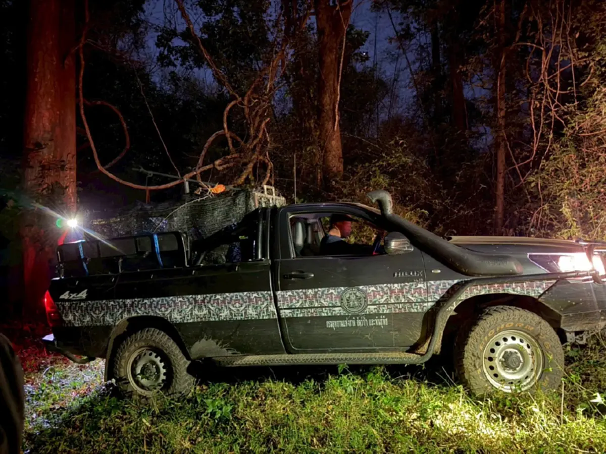 เจ้าปิ่น เสือโคร่ง กลับถึงบ้านปลอดภัย หวนคืนสู่อ้อมกอดผืนป่า