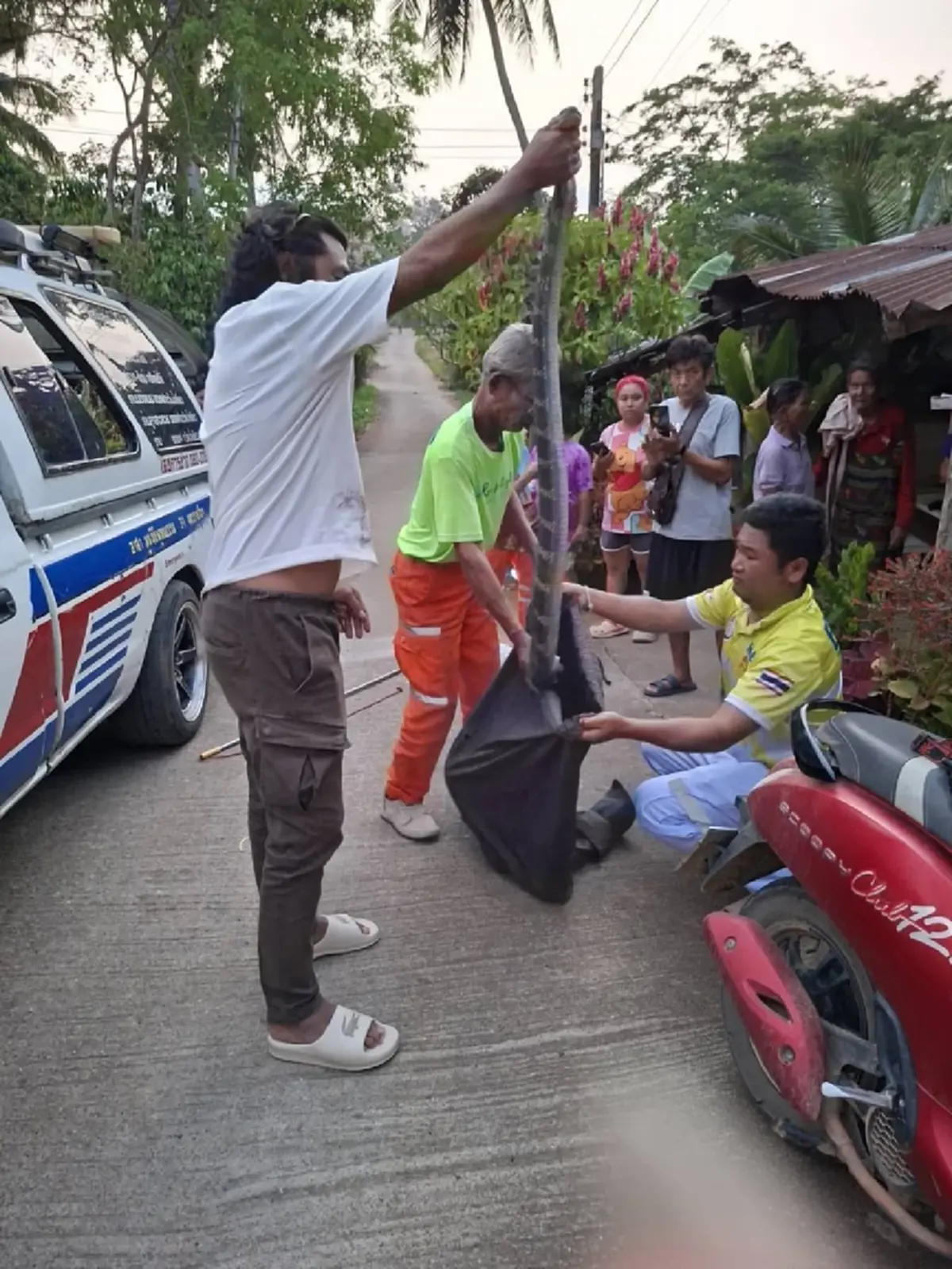 ส่องบ้านเลขที่ งูจงอางใหญ่ 3 เมตร เลื้อยซุกในห้องครัว