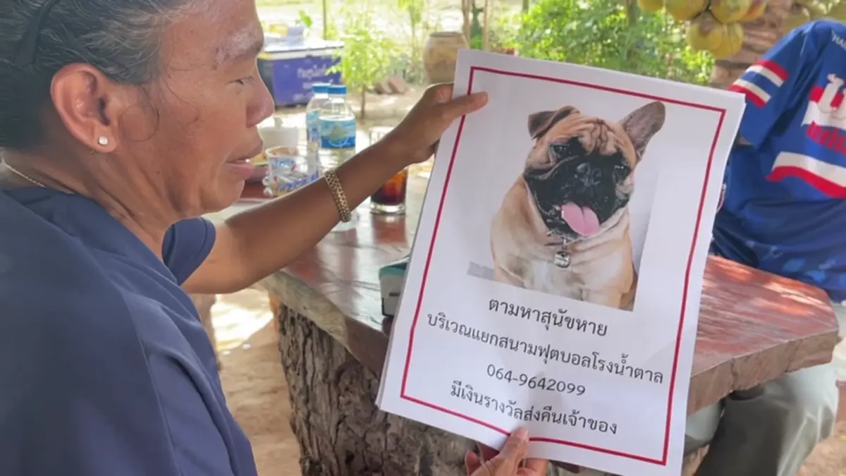 วอนคืนลูกรัก! สาวสุรินทร์ตามหาสุนัขหาย นำส่งคืนรับเงิน 2 หมื่น