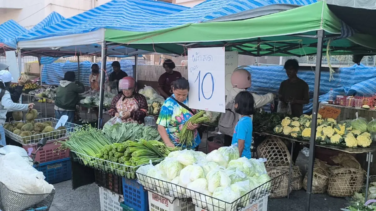 ถูกจริง! ผักถุงละ 10 บาท ชาวพิษณุโลกแห่ซื้อสวนกระแสน้ำมันแพง