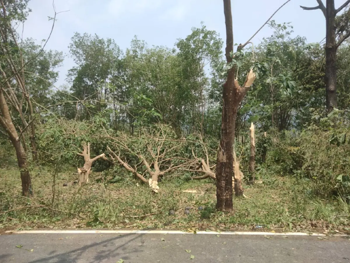 ปภ.บึงกาฬสั่งเข้ม! รับมือพายุ หลังลูกเห็บถล่มบุ่งคล้า