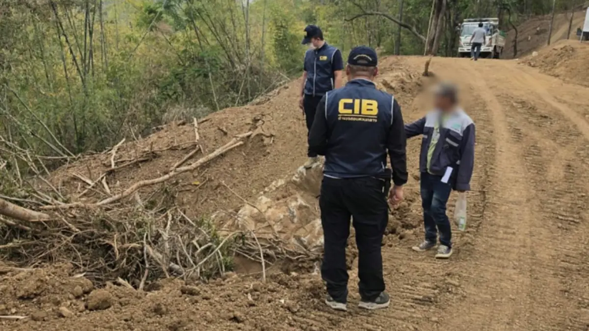 จับมอดไม้เชียงดาว! อ้างชื่อรับเหมาทางหลวงบุกรุกอุทยานฯ