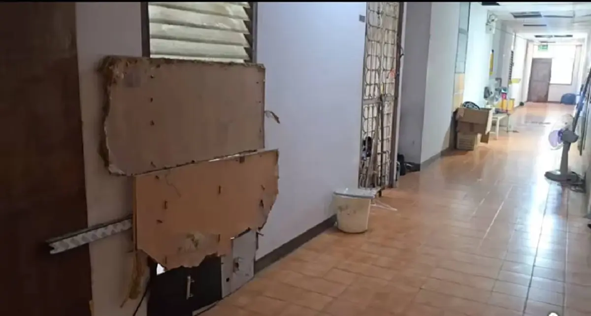 ความจริงอีกด้าน ป้าเลี้ยงหลังอาน 78 ตัวในคอนโด สงสารน้องหมามาก