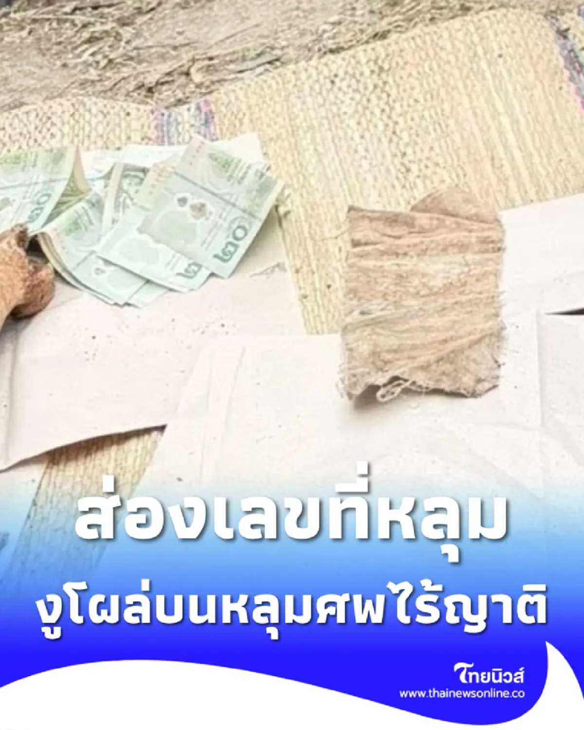 ส่องเลขที่หลุม งูเหลือมตัวใหญ่ขดพันอยู่ด้านบนหลุมศพไร้ญาติ