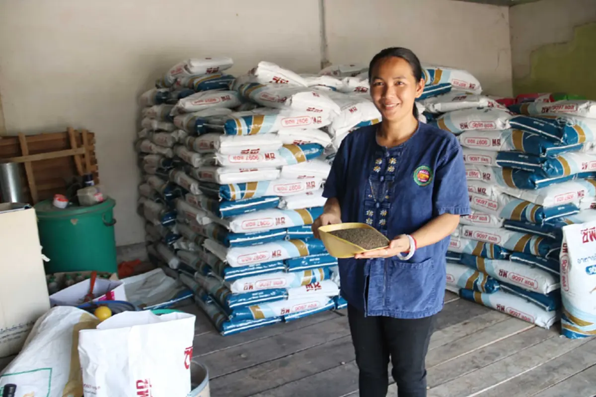 วิกฤตกุ้งกาฬสินธุ์ น้ำมันพุ่งทุบต้นทุนขนส่งอาหารเที่ยวละหมื่น