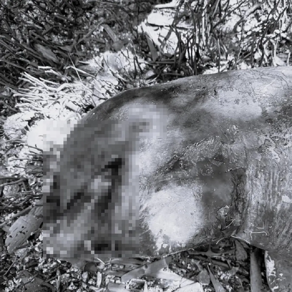 น่าเศร้า เปิดผลชันสูตรซาก เจอแล้วสาเหตุเสียชีวิตสุดสลด