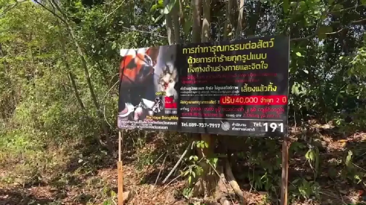 คนใจโหด! วางยาสุนัขเขาคอหงส์ 30 ตัว ตั้งรางวัลนำจับ 2 หมื่น