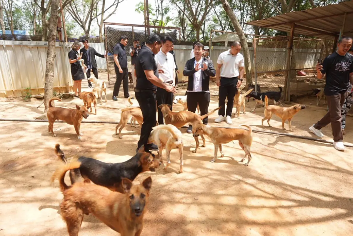 ภาพ @นายสมประสงค์ โภชน์พันธุ์
