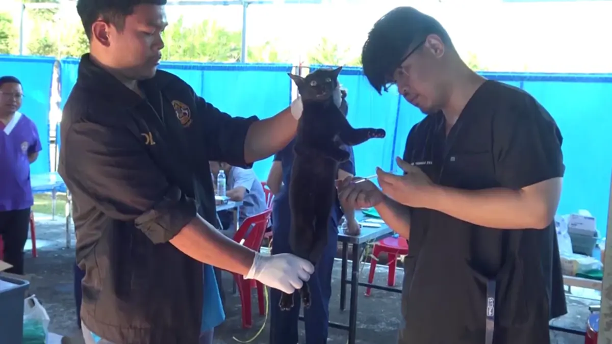 ปศุสัตว์บึงกาฬรุกทำหมันสัญจรฟรี พร้อมแจกเวชภัณฑ์ปี 69