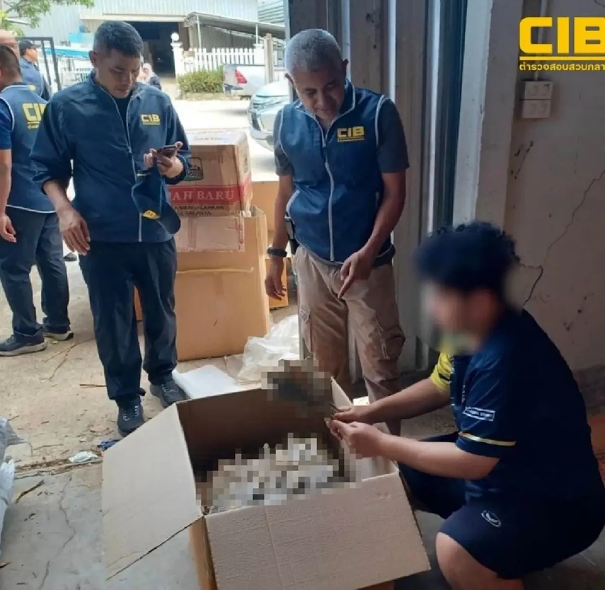 ทลายโกดังลับย่านลำลูกกา ยึดซากตุ๊กแกกว่า 1.2 แสนตัว เตรียมส่งออกจีน